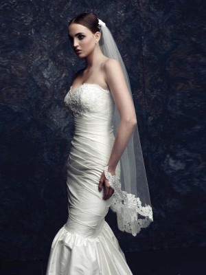 Elegant Tulle With Lace Wedding Veils