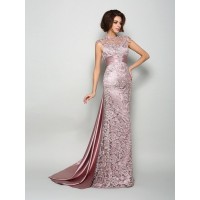 A-Line/Princess High Neck Sleeveless Long Elastic Woven Satin Mother of the Bride Dresses