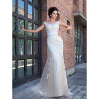 Trumpet/Mermaid Sheer Neck Applique Short Sleeves Long Net Dresses