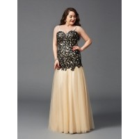 Sheath/Column Spaghetti Straps Applique Sleeveless Long Net Plus Size Dresses
