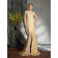 Trumpet/Mermaid Scoop Lace Sleeveless Long Lace Mother of the Bride Dresses