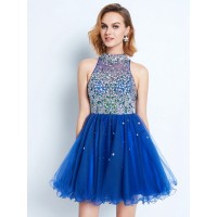 A-line/Princess High Neck Ruffles Sleeveless Short/Mini Net Dress