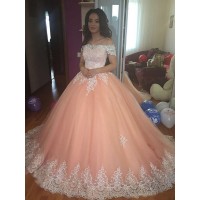 Ball Gown Sleeveless Off-the-Shoulder Court Train Tulle Lace Dresses