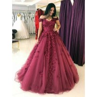 Ball Gown Sleeveless Off-the-Shoulder Sweep/Brush Train Applique Tulle Dresses