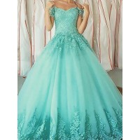 Ball Gown Sleeveless Off-the-Shoulder Applique Floor-Length Tulle Dresses