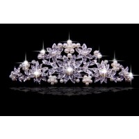 Stunning Czech Rhinestones Flowers Pearls Wedding Headpieces