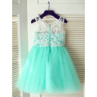 A-line/Princess Scoop Sleeveless Lace Long Tulle Dresses